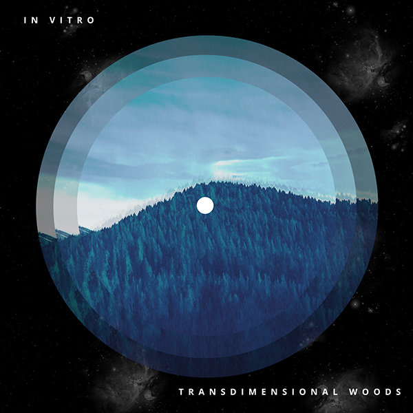 In Vitro – Transdimensional Woods